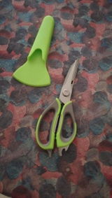 Arunoday Sengupta review photo