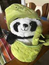 Harshita review photo