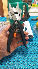 Tushar review photo