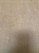 Divesh review photo