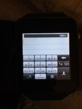 Garvit review photo