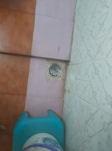 Zeenat review photo