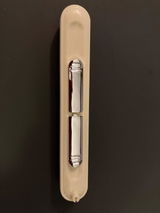 Aashna review photo