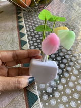 Ankur review photo