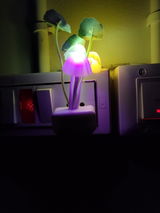Riya review photo