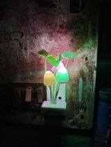 P. Rathi review photo