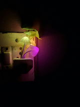 Vineeta review photo