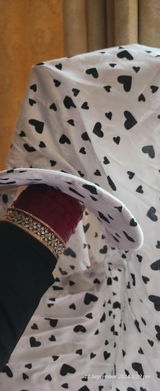 Aashna review photo