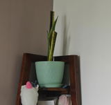 Vineeta review photo
