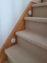 Vineeta review photo
