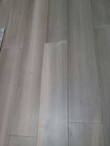 Biren review photo