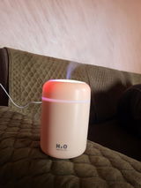Zeenat review photo