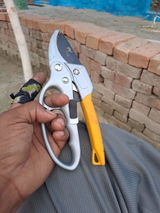 Ankur review photo
