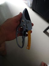 Harshit review photo