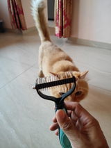 Anil review photo