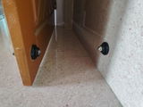 Ankur review photo