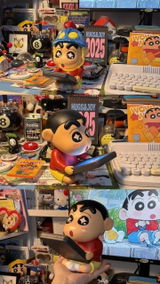 shina review photo