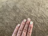 D.S. review photo