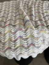 Lesley B. review photo