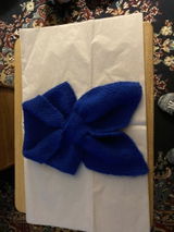 Leslie F. review photo