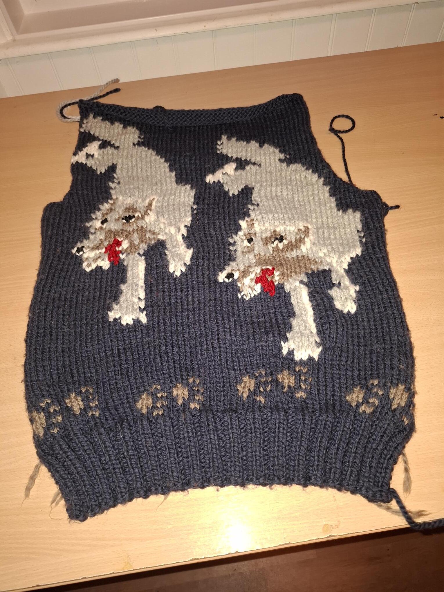 Wolf Cardigan Pattern (Original Version) – Mary Maxim