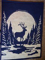 Winter Sentinel Blanket