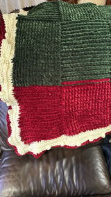 Big Twist Posh Yarn