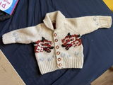 Child's Wolf Cardigan Knit Kit | Project Hail Mary Fox Sweater
