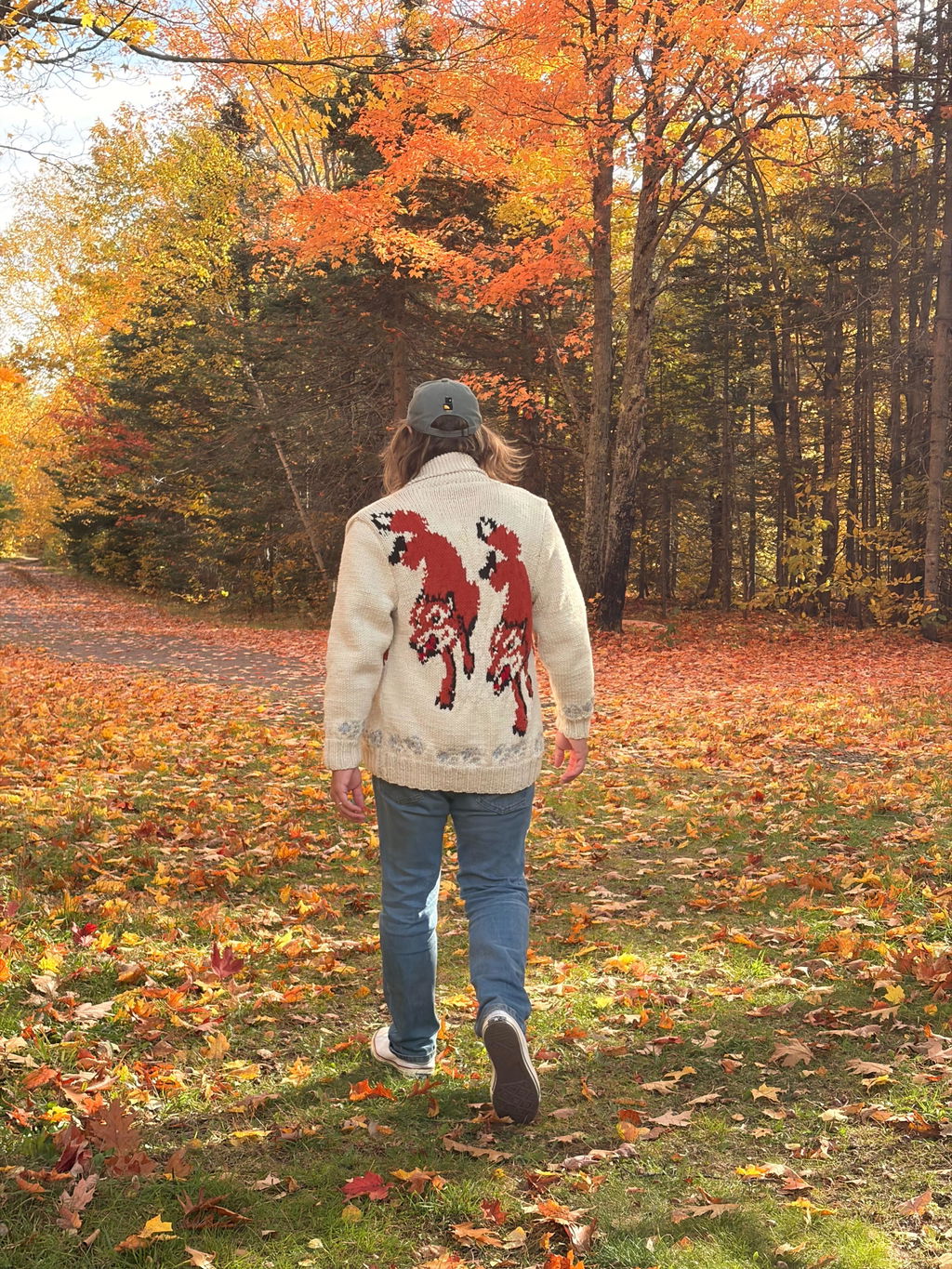 Wolf Cardigan Knit Kit | Project Hail Mary Fox Sweater – Mary Maxim