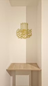Farheen Qureshi review photo
