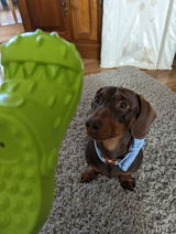 Amazon Customer review photo
