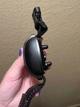 Bridgett review photo