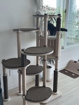 serdia review photo