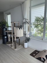 serdia review photo