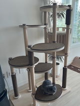 serdia review photo