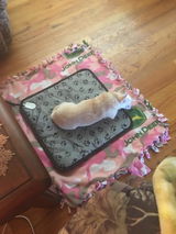 Millie review photo