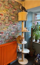 Jemima review photo
