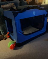 Sebastian review photo