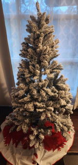 Holly review photo