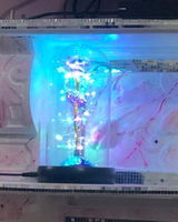 Maya review photo