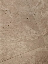 Toh Guang Yan review photo