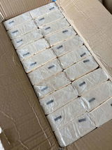 R***g review photo