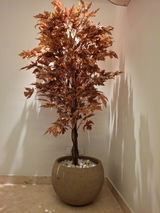 Harsh Gupta review photo