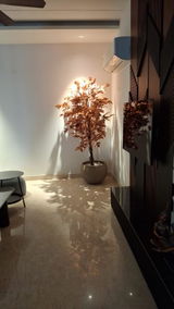 Harsh Gupta review photo