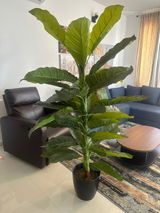 Akhilesh Jatia review photo