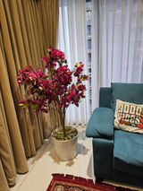 SANDEEP SOPORI review photo