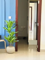 Smitanjali review photo