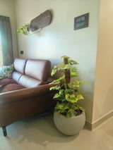 Raksha Vishal review photo