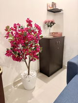 Farha Sayed review photo