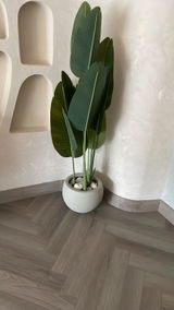 Shashi gupta review photo